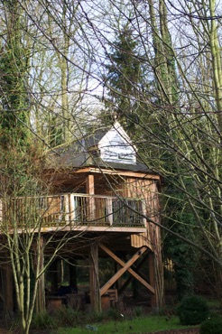 Tilia treehouse in the trees